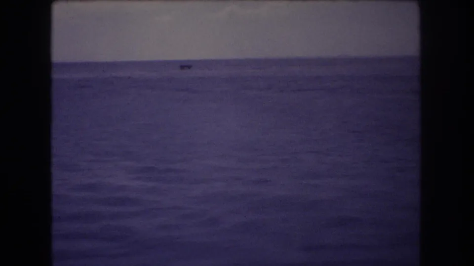 1977 Honolulu 8mm frame holding on open water and a small distant vessel against a subdued horizon, with dark film borders visible.