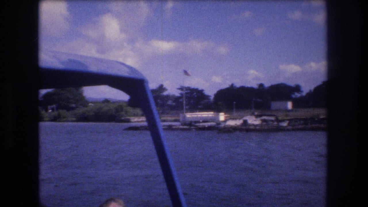 Waterfront seen from a boat with canopy frame, dock area, trees, and a flagpole.