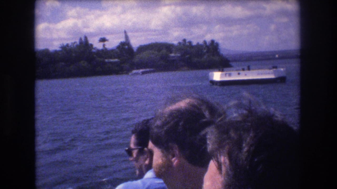 Passengers on a boat face the water as a white vessel passes near a tropical shoreline.