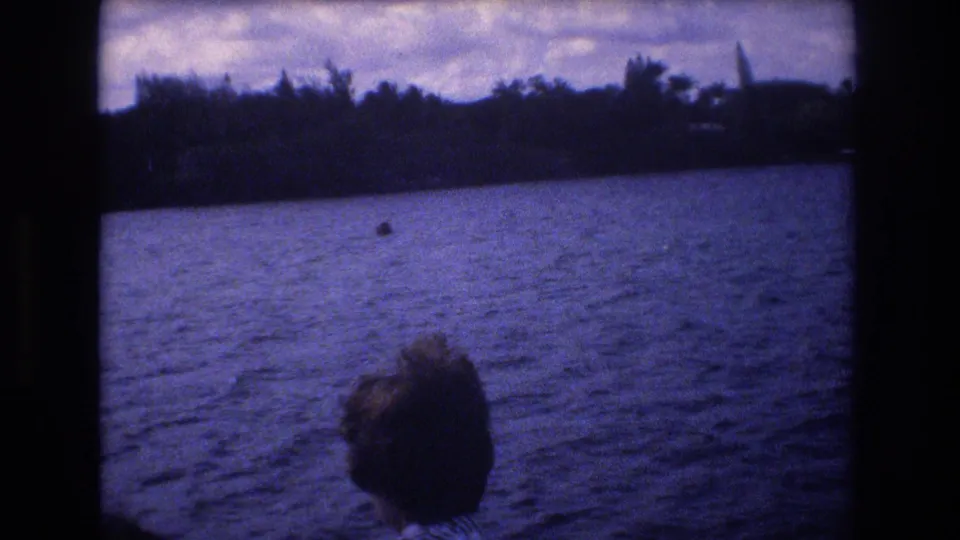 The boat continues past calm water and a dark tree-lined Honolulu shoreline, with only the top of a passenger's head visible in the foreground.