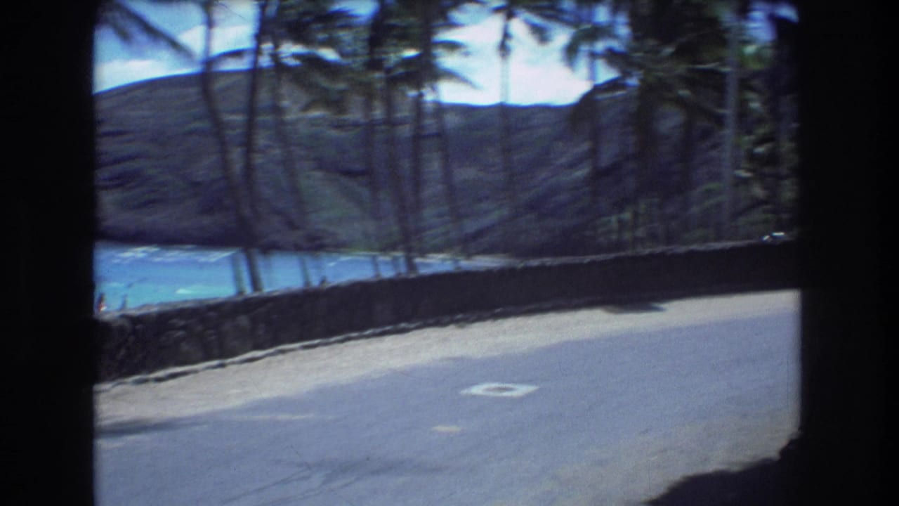 1977 Honolulu home-movie frame showing a curving coastal road, dark palm trunks, a low stone wall, blue water, and green hills in the distance.