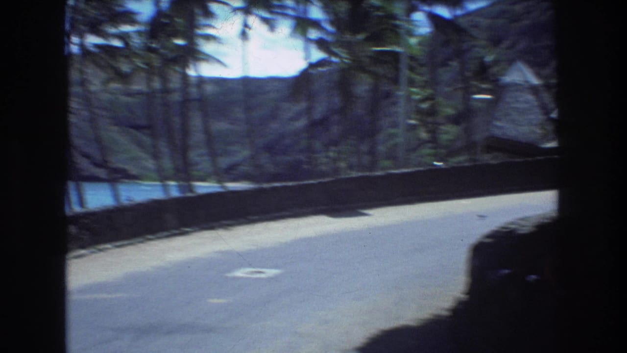 Roadside view with palm trees, stone wall, ocean, hillside, and a dark vehicle edge at right.