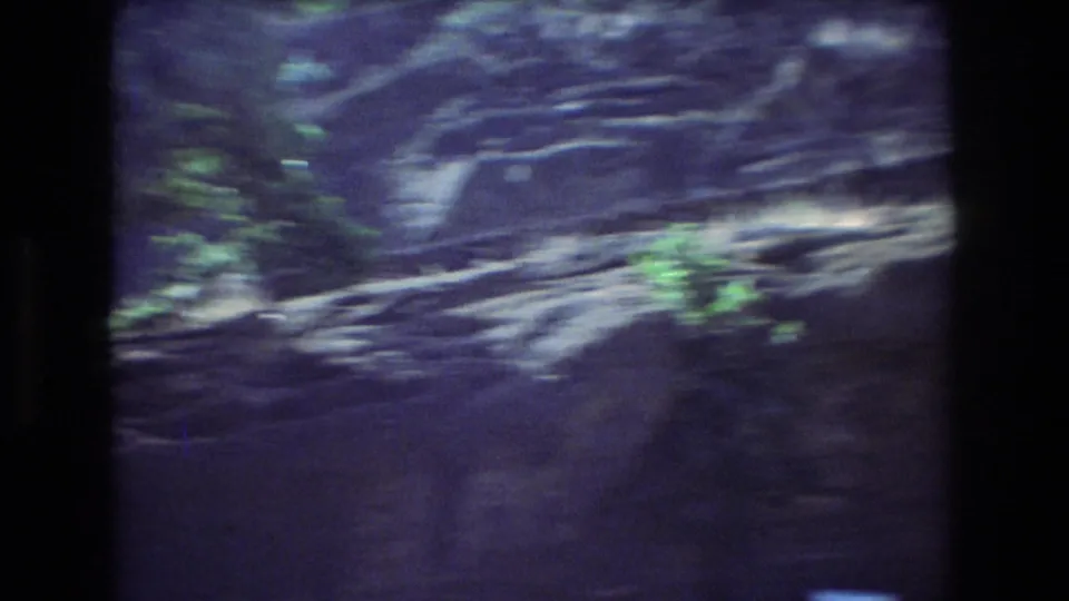The camera passes a rocky, planted area with heavy motion blur, suggesting a moving vehicle or quick handheld pan in the Hawaii travel footage.