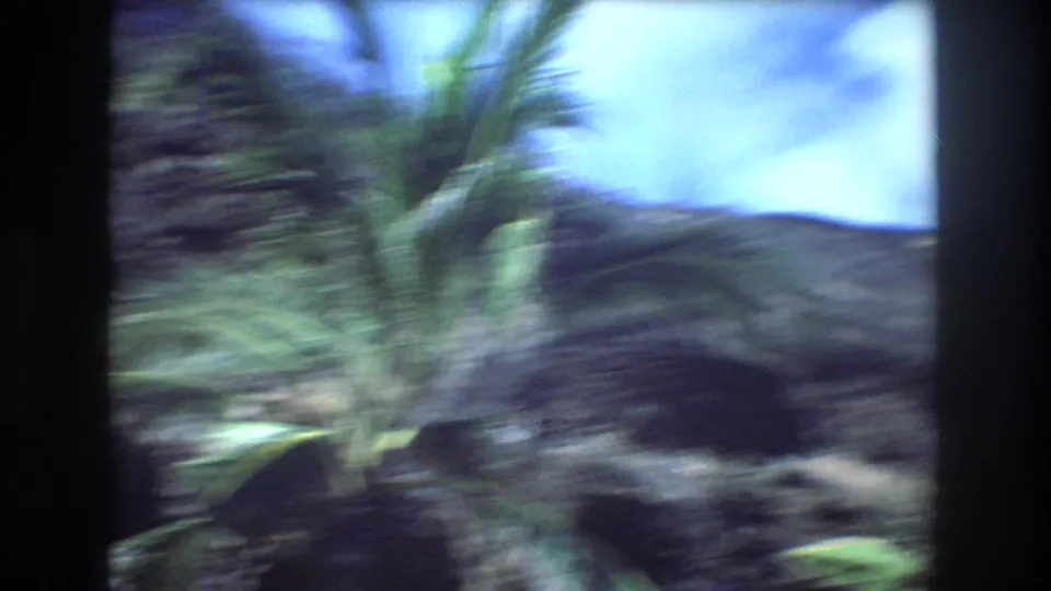 Palm fronds and tropical plants frame a distant mountain slope under blue sky in the 1977 Honolulu home-movie view.