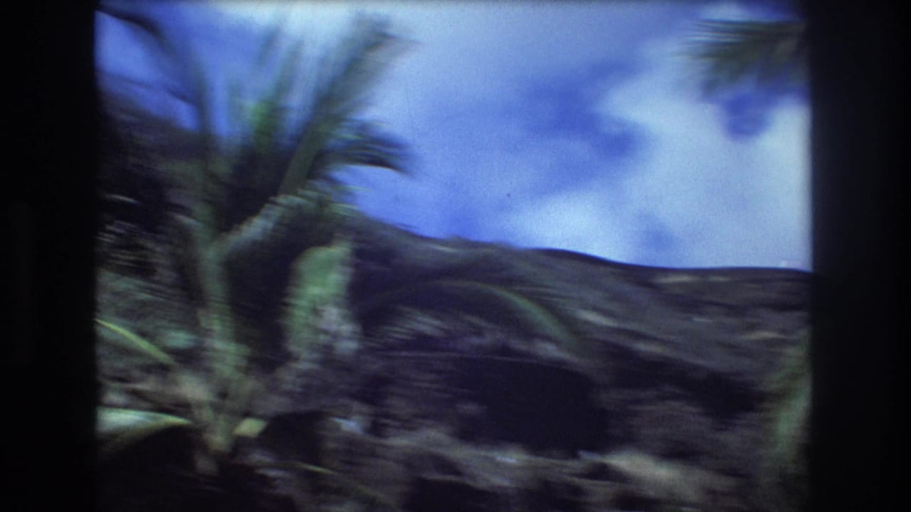 1977 Honolulu 8mm frame showing palm fronds in the foreground and a steep dark hillside with vegetation beneath a blue sky.