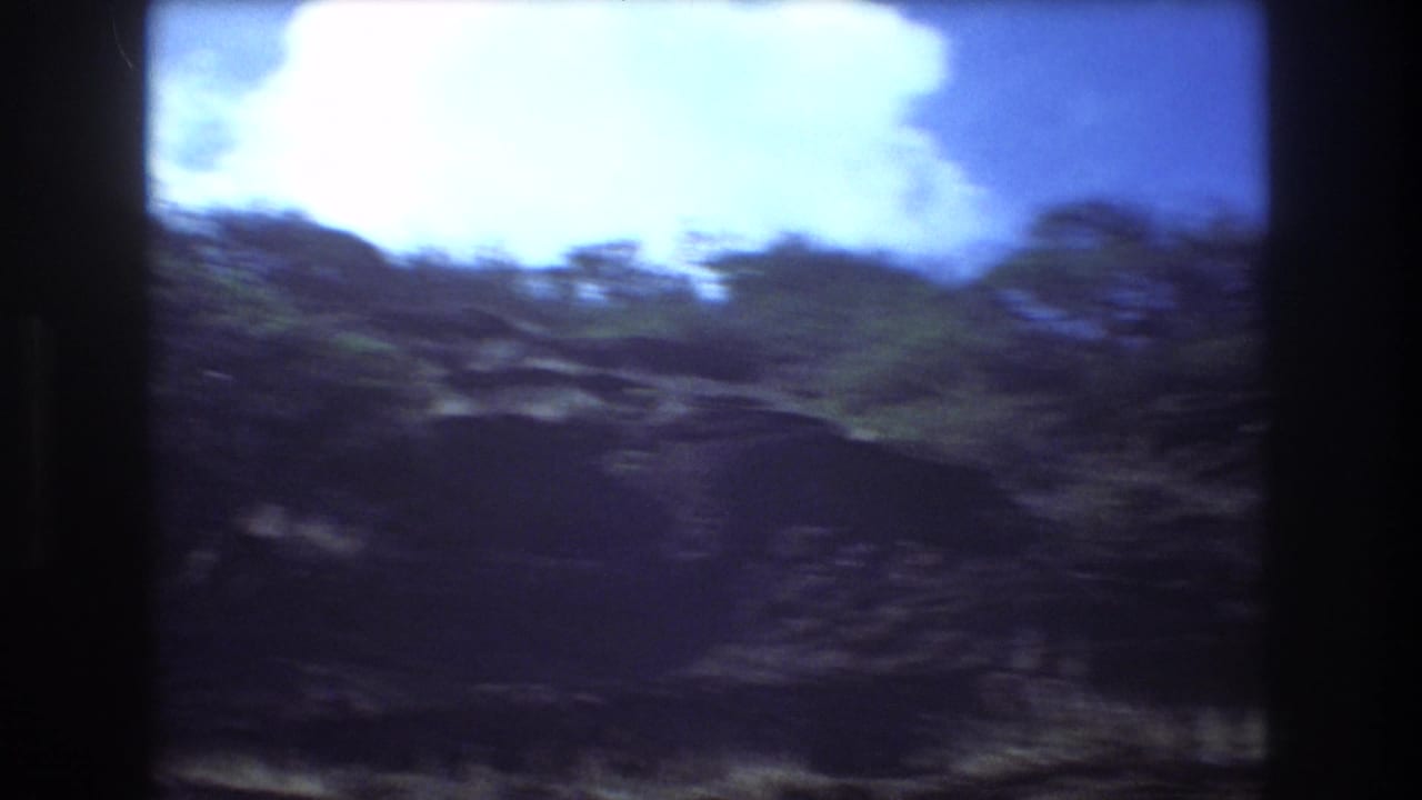 Blurred hillside with vegetation and bright cloud overhead.