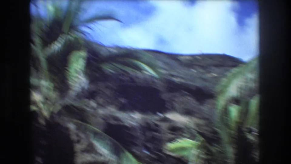 1977 Honolulu 8mm frame with palm fronds in the foreground and a dark rocky hillside under a bright blue-white sky.