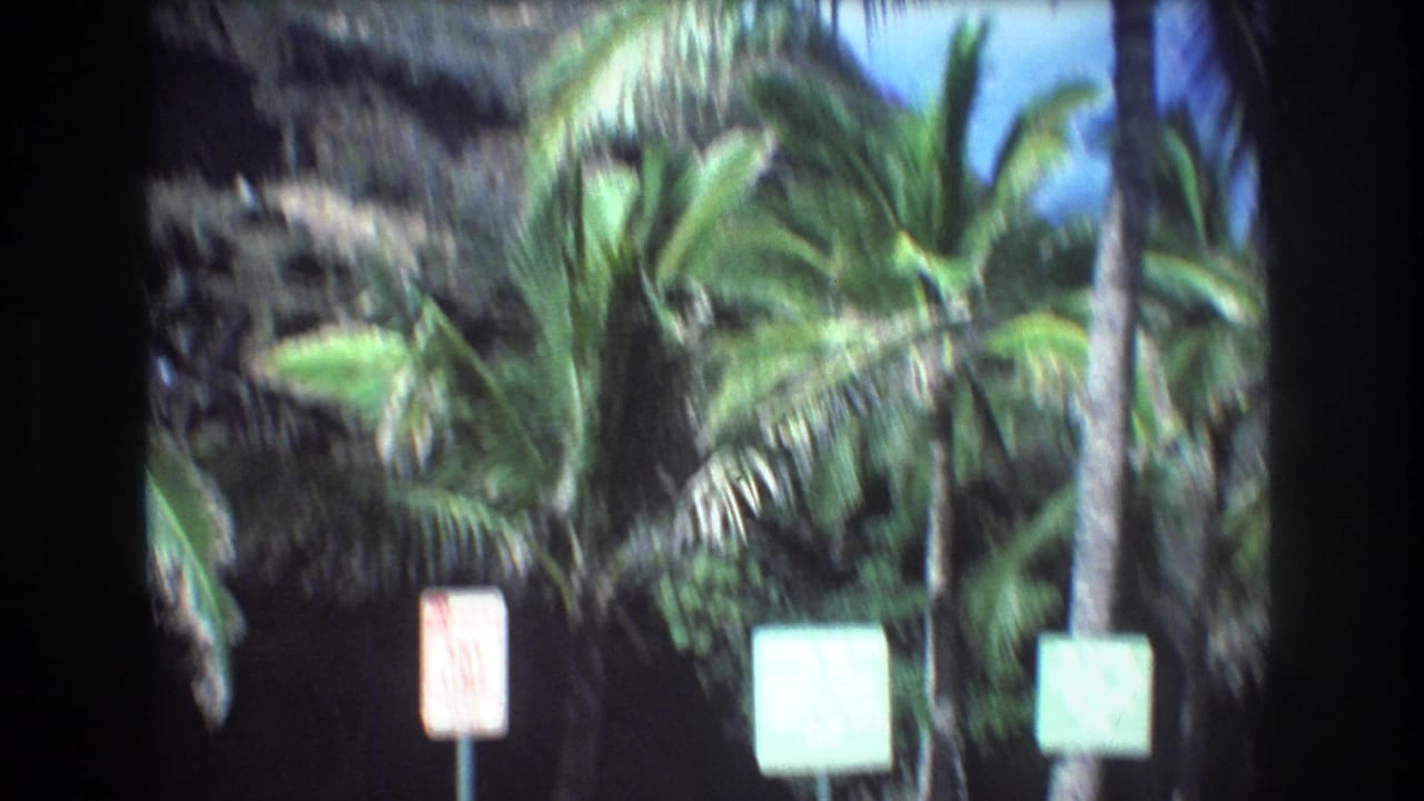 Soft 8mm frame from the Honolulu home-movie clip showing palm trees, dense greenery, and small signposts along a shaded tropical path.