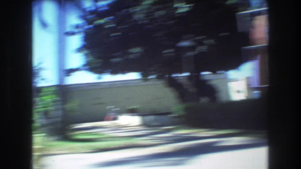 1977 Honolulu drive-by frame showing blurred roadside trees, a low wall or boundary, bright sky, and partial beachside surroundings from the car-window viewpoint.