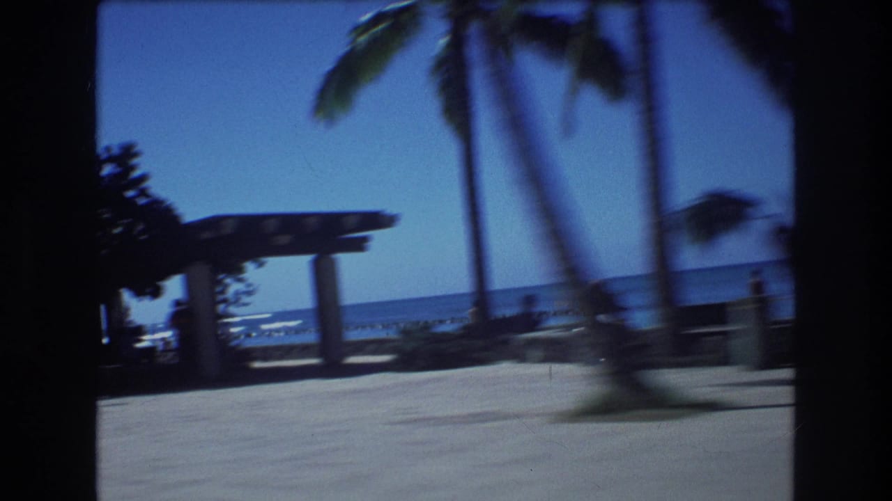 Beachfront path with palm trees, ocean, and a covered structure near the shore.