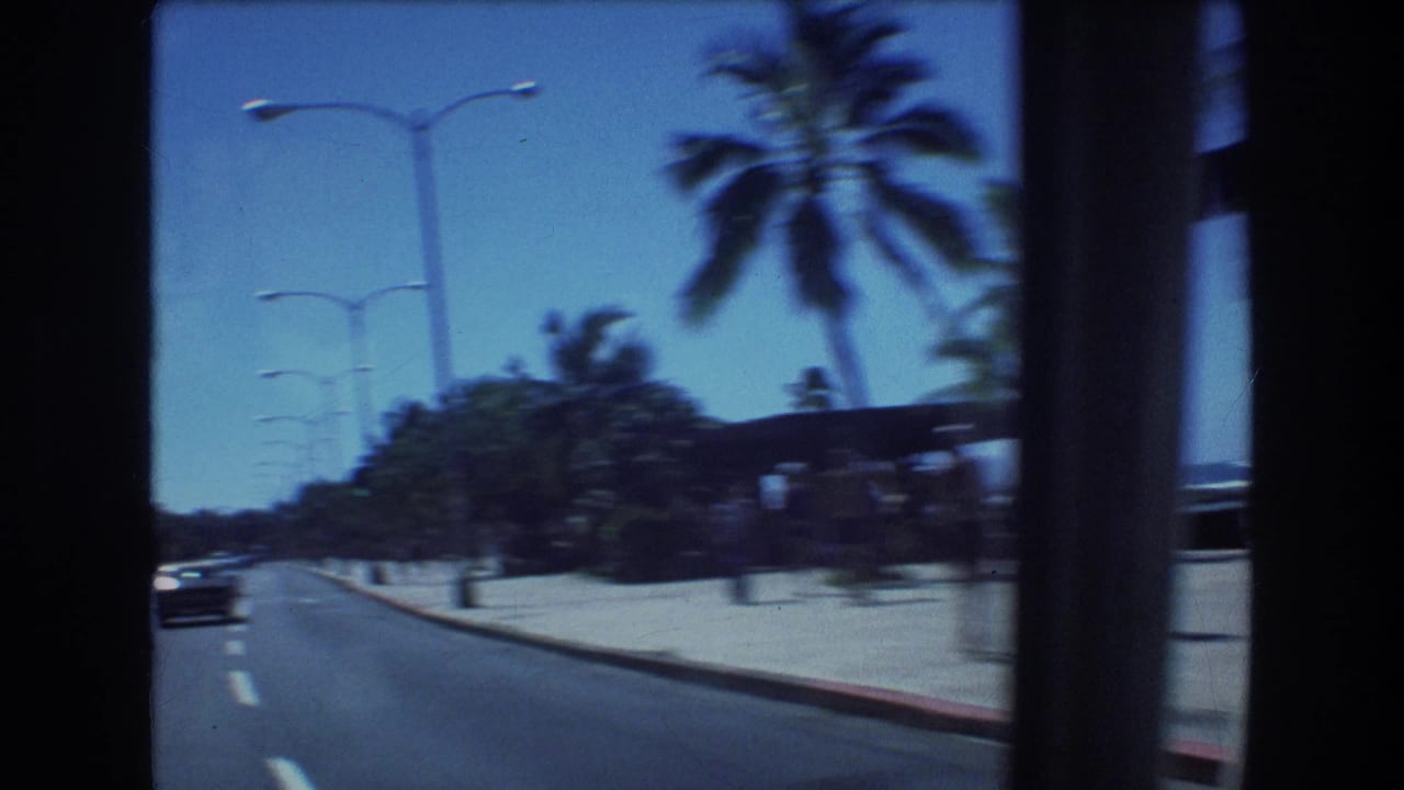 Palm-lined road seen from a moving vehicle with cars, streetlights, and hotel buildings in the distance.