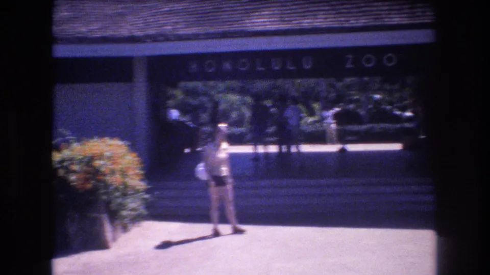 Final 1977 Honolulu Zoo frame showing the woman standing in the sunlit forecourt beneath the readable zoo sign, with shaded visitors and landscaping in the background.