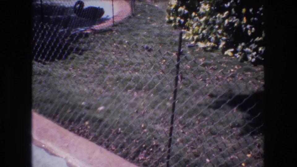 1977 Honolulu 8mm frame showing a chain-link fence along a grassy area with curb edging and foliage in the background.
