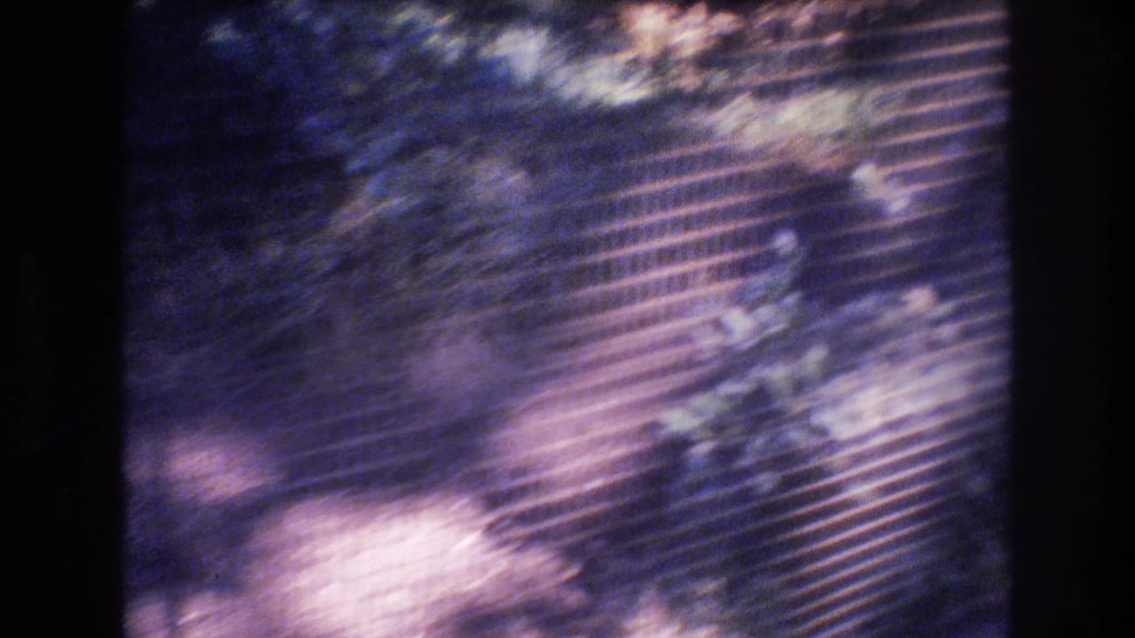 Blurred view through wire mesh with foliage and enclosure shadows.