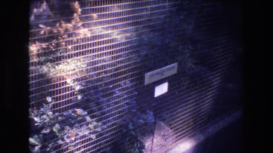 The camera looks through a wire animal enclosure toward foliage, rocks, and a small rectangular exhibit label or sign.