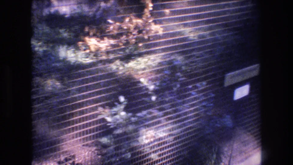 A mesh-covered animal enclosure fills the frame, with plants, rocks, and a small sign visible near the lower right in aged 8mm color.