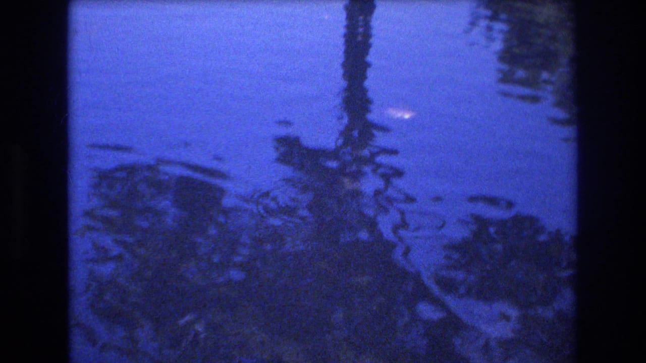 Blue water with reflected foliage-like shapes and a small bright object near the surface.