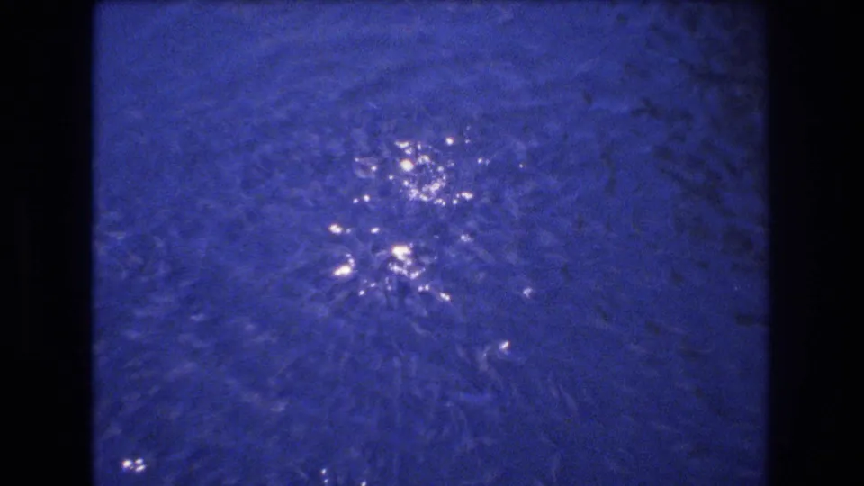 Blue-tinted rippling water in 1977 Honolulu home-movie footage, with bright sun reflections and dark 8mm frame edges.