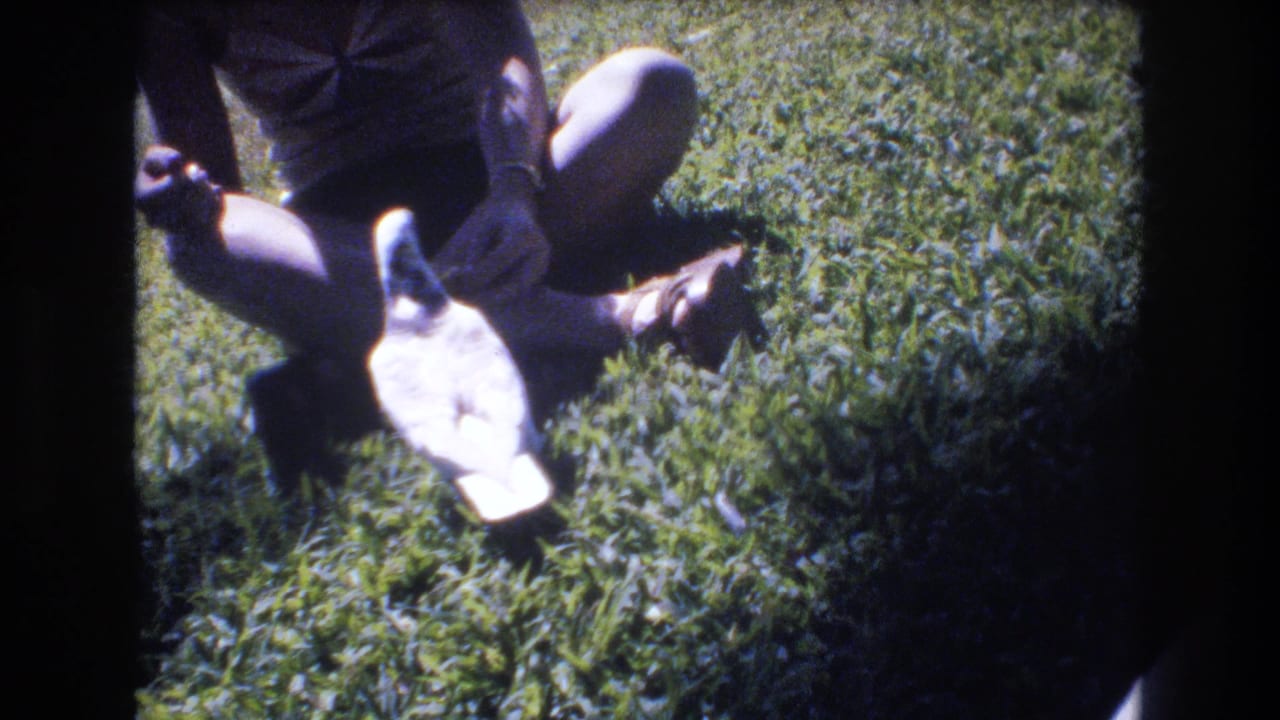 In 1977 Honolulu home-movie footage, a person sits cross-legged on a green lawn while a white and gray pigeon stands close to their hand.