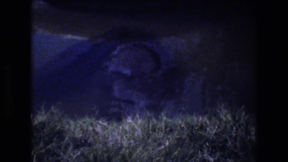 A darker 8mm frame shows grass in the foreground and a faint pigeon shape near the ground, with the scene partially obscured by low exposure.