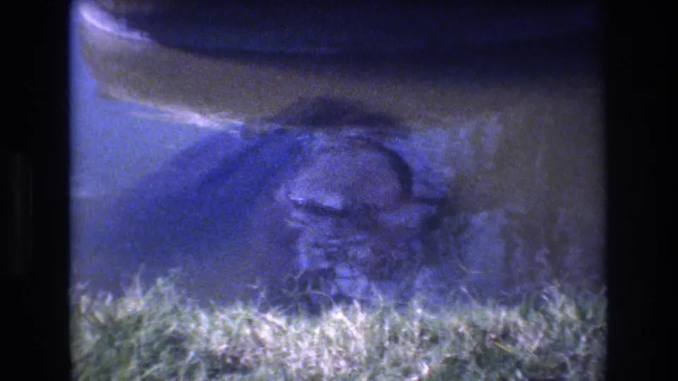 The final frame is dim and blue-tinted, with grass along the bottom and the pigeon only partly legible near the lower center of the 8mm image.