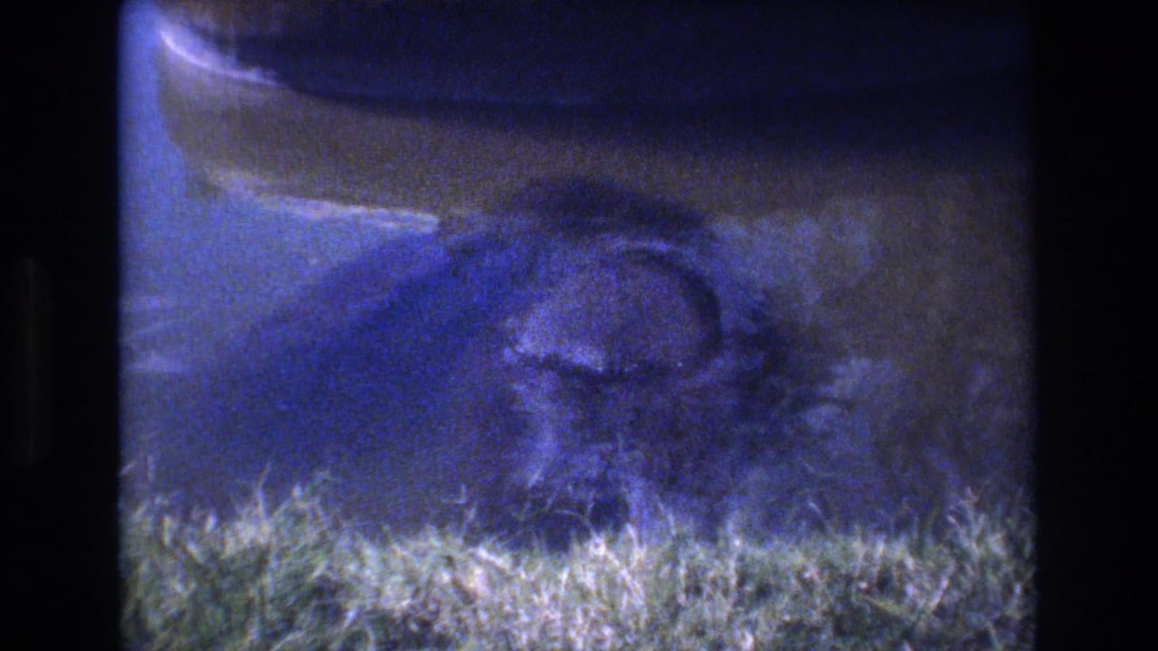 Blue-tinted 1977 Honolulu 8mm frame showing an unidentified rounded animal-like form partly submerged beside bright shoreline grass.