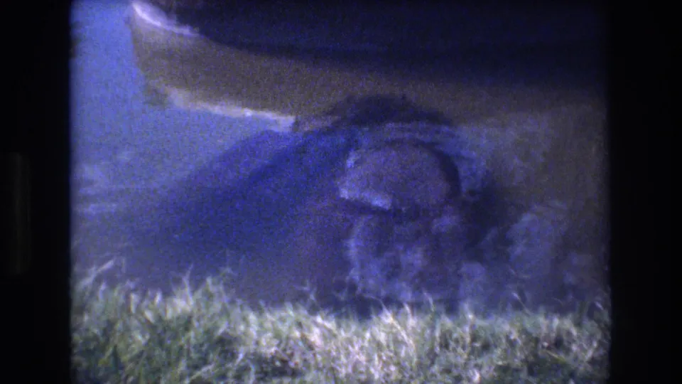 Soft, blue-cast Honolulu home-movie frame of an unidentified aquatic animal-like shape floating close to grass and shadowed water.