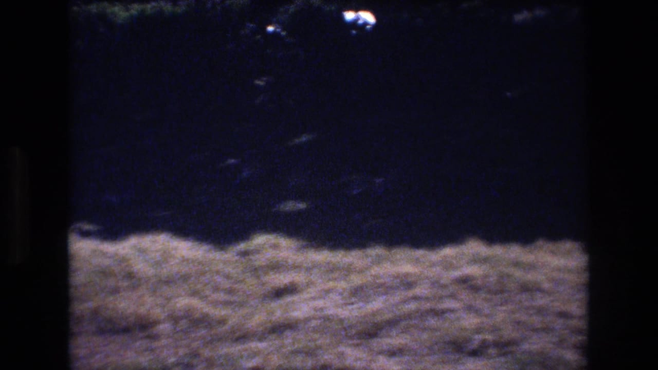 1977 Honolulu 8mm frame showing a patch of dry grass, heavy tree shadow, and soft sunlit ground in a quiet outdoor setting.