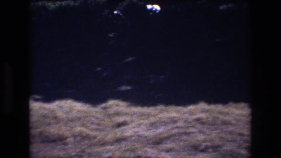 1977 Honolulu 8mm frame showing a patch of dry grass, heavy tree shadow, and soft sunlit ground in a quiet outdoor setting.