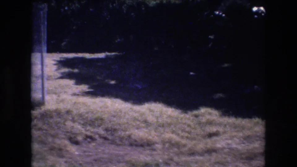 1977 Honolulu 8mm frame with bright grass, a narrow pale ground strip, dense shade, and a vertical scan border near the center.