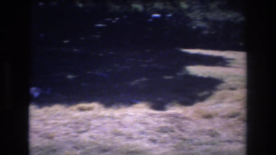 1977 Honolulu 8mm frame showing dappled tree shade across grass and a bright sunlit patch of ground near the right edge.