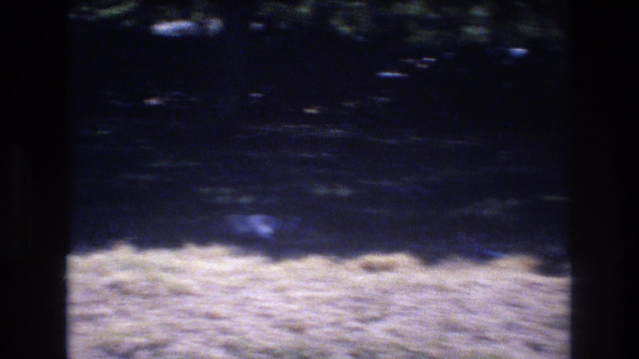 1977 Honolulu 8mm frame showing dry yellow grass, deep shade, tropical foliage, and a dark vertical fence or post edge.