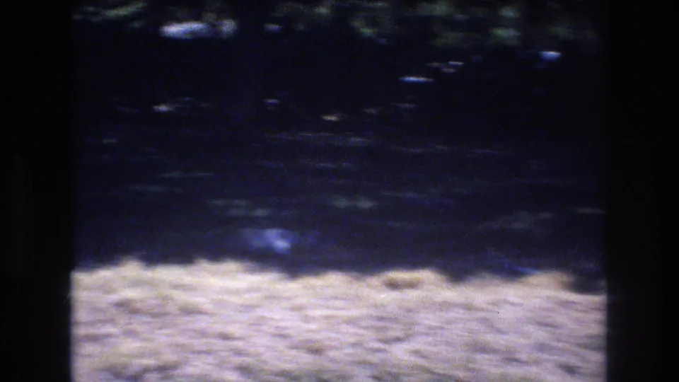 1977 Honolulu 8mm frame showing dry yellow grass, deep shade, tropical foliage, and a dark vertical fence or post edge.