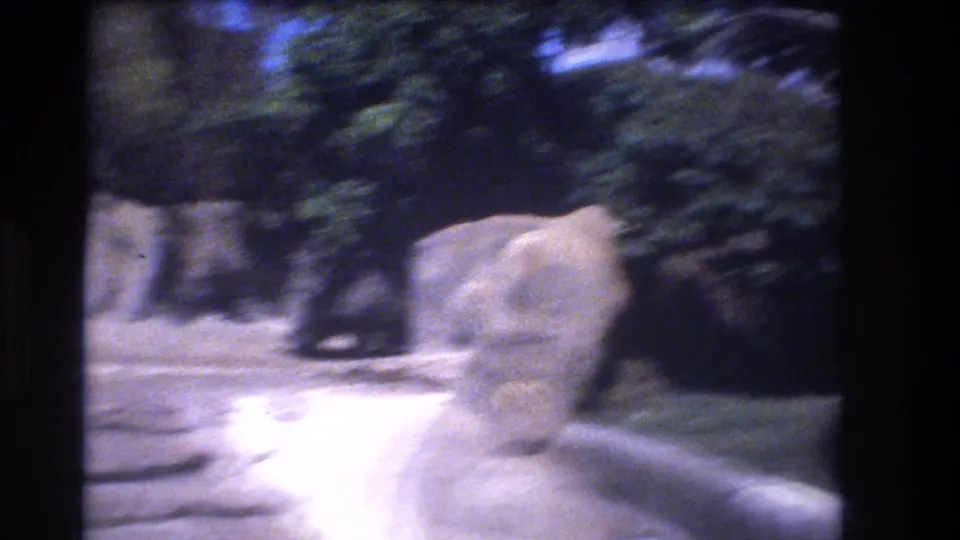 Motion-blurred 1977 Honolulu home-movie frame with greenery, pale rocks, bright ground, and a large stone form as the camera moves.