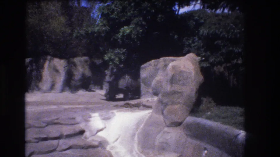 1977 Honolulu home-movie frame showing a large carved-looking stone form in a rocky landscaped area with shrubs, trees, and pale ground in the background.