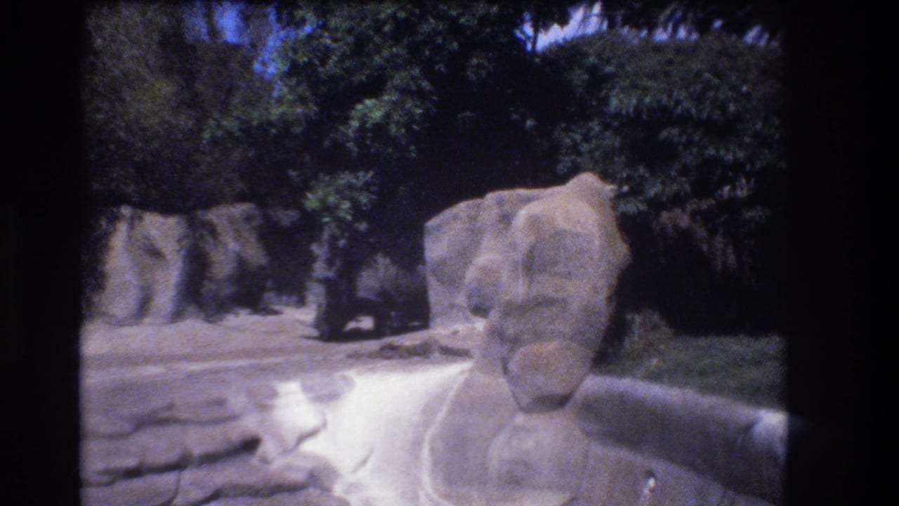 1977 Honolulu home-movie frame showing large tan rocks, green trees, and a paved landscaped area in bright daylight.