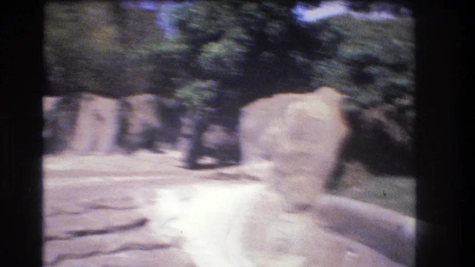 Soft, handheld 8mm frame from Honolulu showing pale rocks, trees, and a bright paved landscaped area with motion blur.
