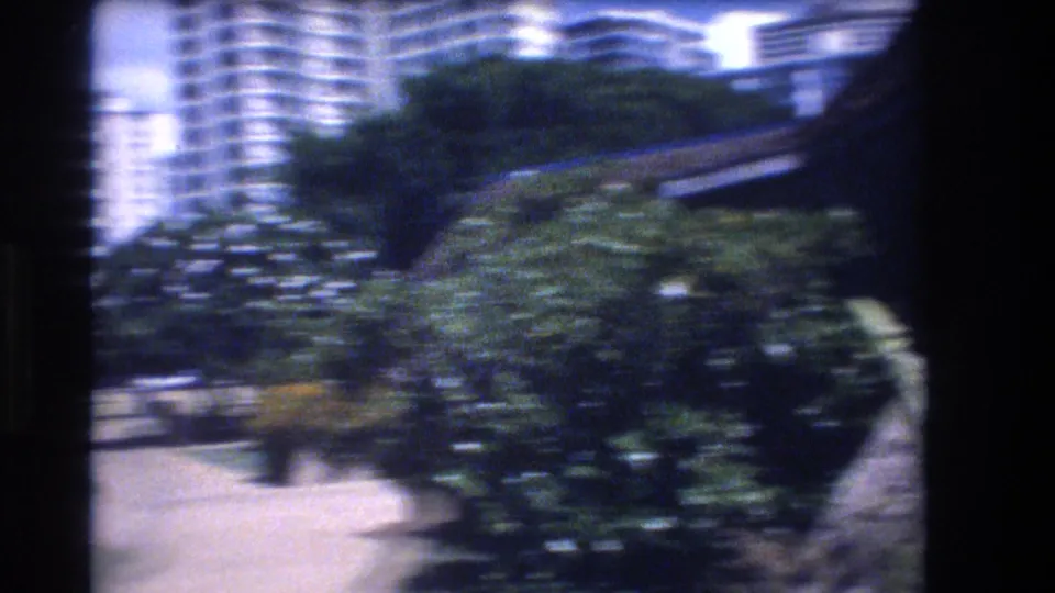 1977 Honolulu frame with dense green bushes and trees in the foreground and soft high-rise buildings visible behind them.