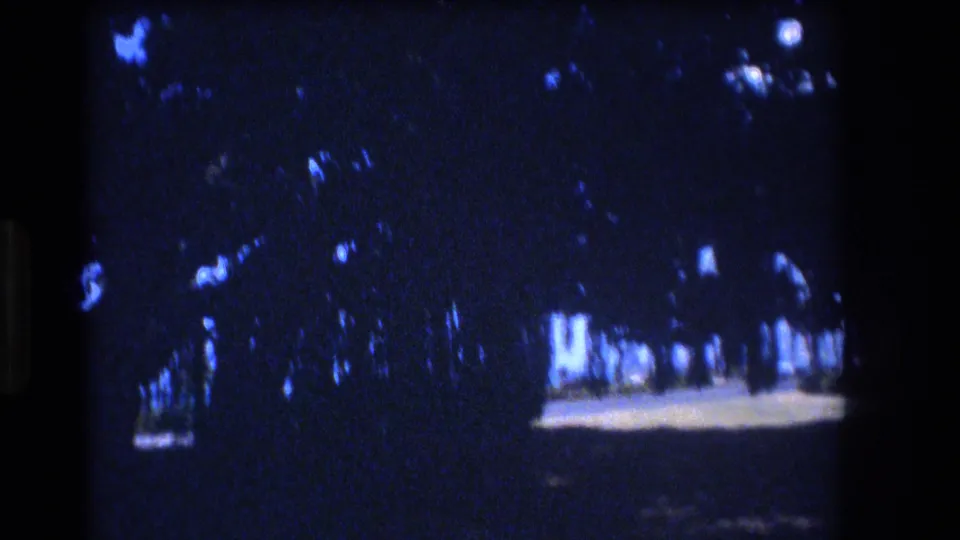 1977 Honolulu park footage with dense shade, tree silhouettes, and small sunlit openings across the grass in a grainy home-movie frame.