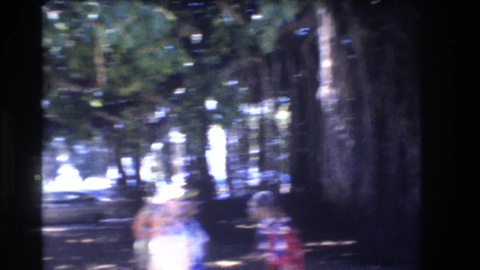 Soft, motion-blurred 8mm frame in Honolulu showing a large tree and several people passing through the shaded lower foreground.