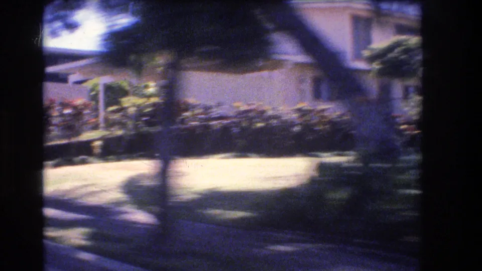 1977 Honolulu residential street frame with a low house behind hedges, a small lawn, sidewalk, tree trunk, and sunlit pavement captured in soft moving-car blur.