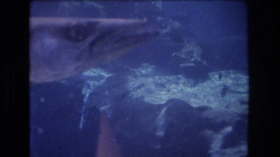 1977 Honolulu 8mm frame showing a large fish-like form moving under blue water near the surface, with ripples, reflections, and visible film texture.