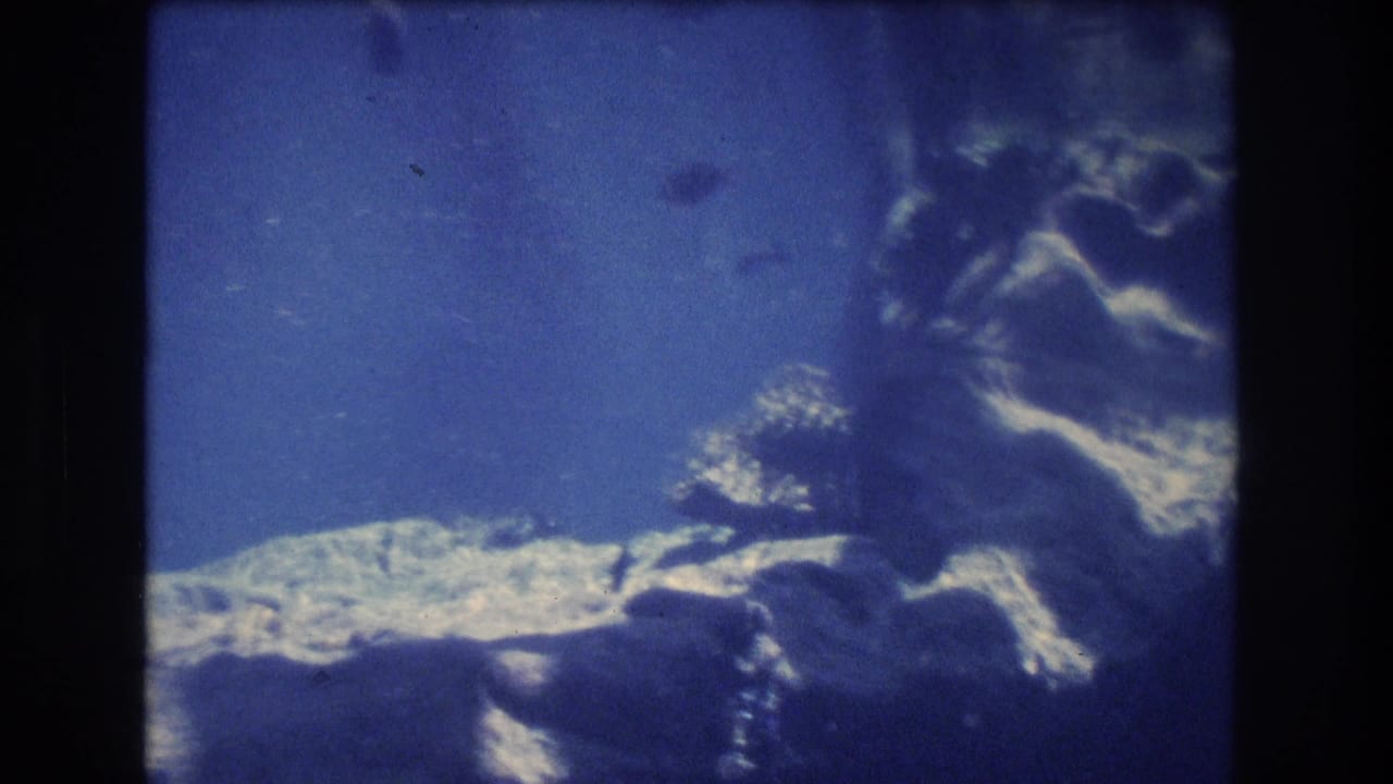 1977 Honolulu 8mm frame showing a large fish moving past pale rock or coral forms inside a blue-lit aquarium display.