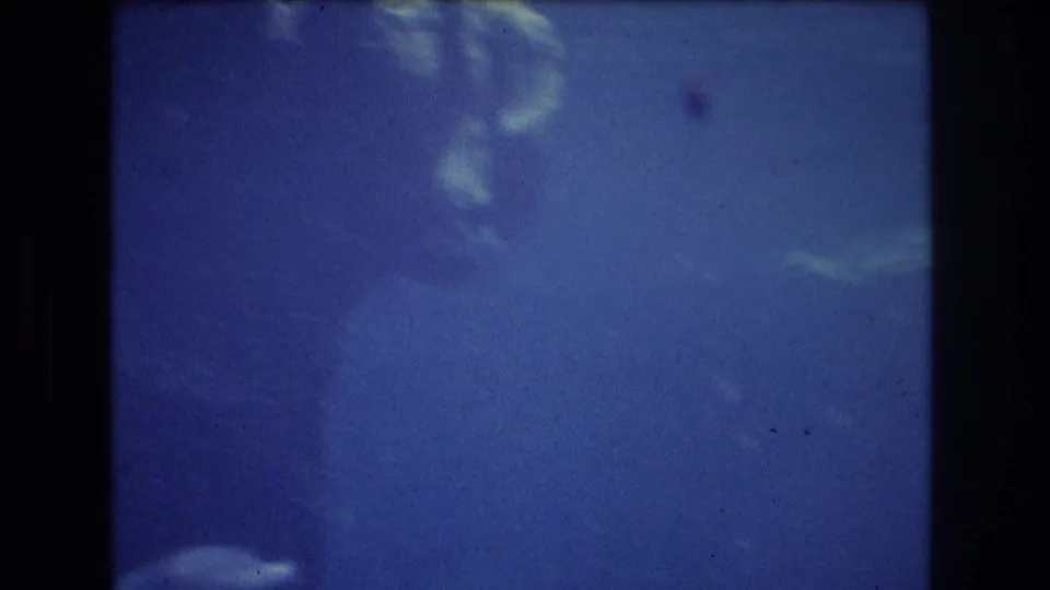 Blue-tinted aquarium frame from the Honolulu home movie, with small pale fish shapes partially visible through soft focus and glass reflection.