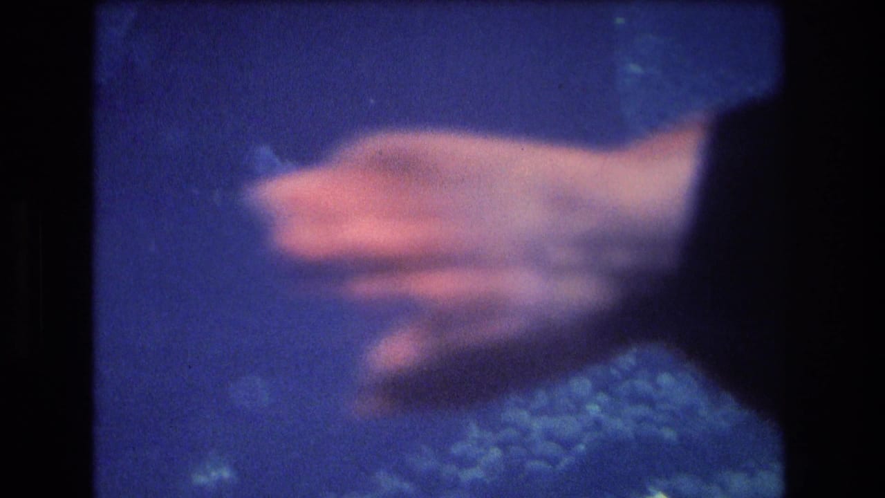 Large fish passes through soft blue underwater 8mm footage from the supplied 1977 Honolulu, Oahu home-movie clip.