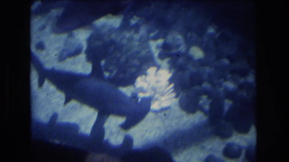 A grainy 8mm Honolulu aquarium frame shows sharks moving through a blue tank, with rocks, sand, and coral-like shapes in the background.