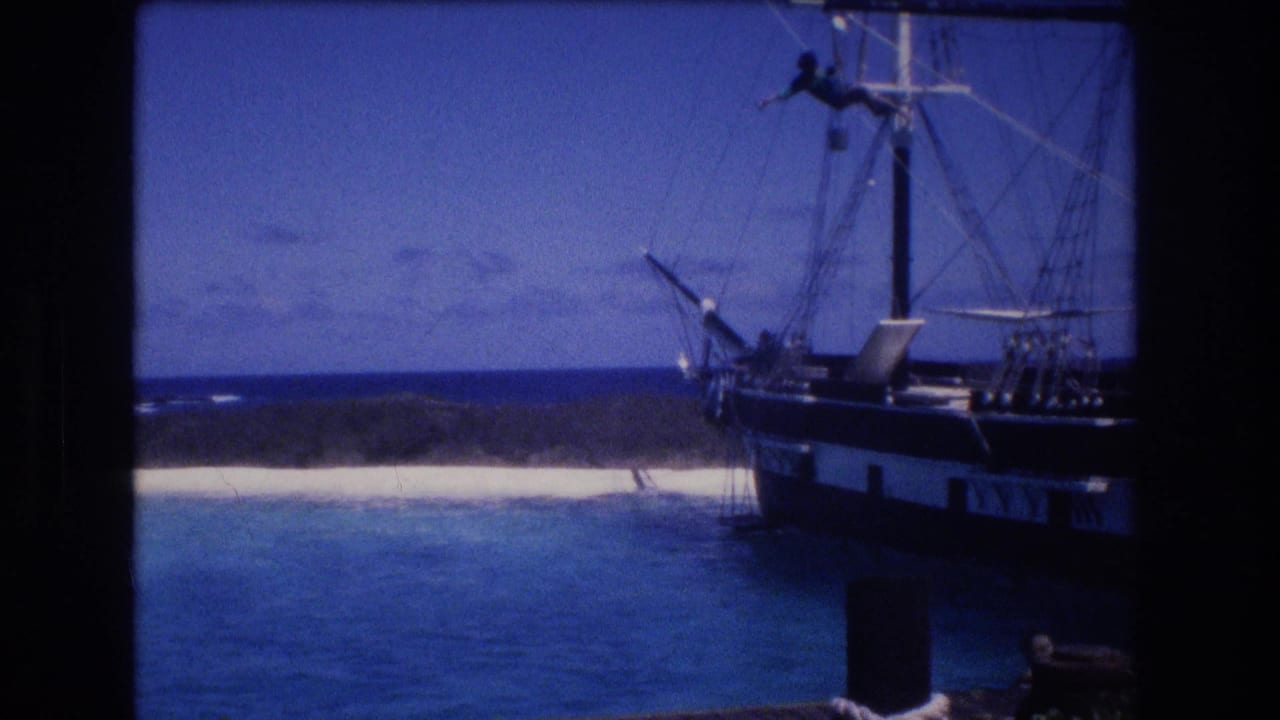 Dolphin near turquoise water beside a large rigged ship and pale beach.