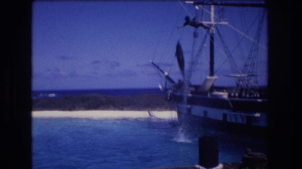 Dolphin leaps upright from the water beside the ship with a person on the mast.
