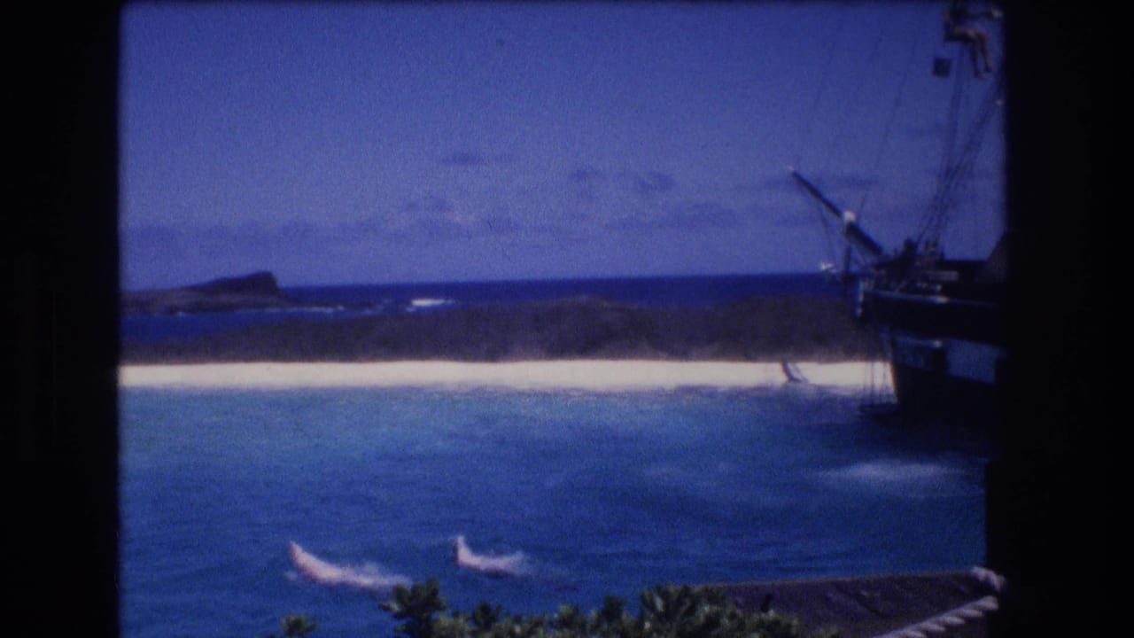 Two dolphins surface near a beach with a sailing ship at the edge of frame.
