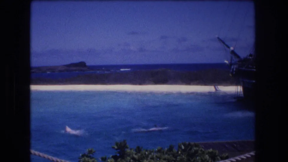 1977 Honolulu, Oahu home-movie frame showing dolphins in turquoise water with a white sand beach, low dark shoreline, and the edge of a sailing ship.